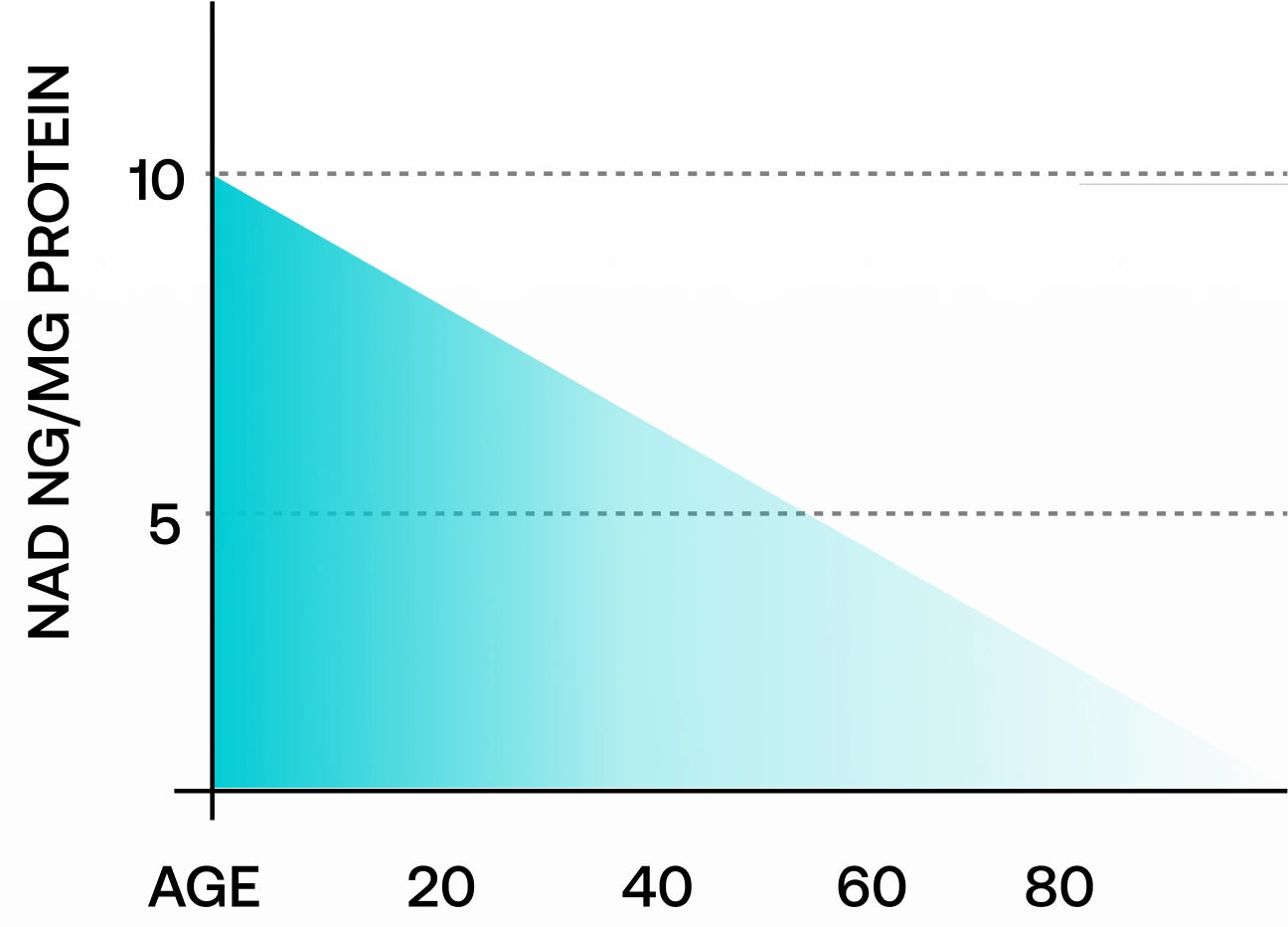 NAD+ Levels Graph
