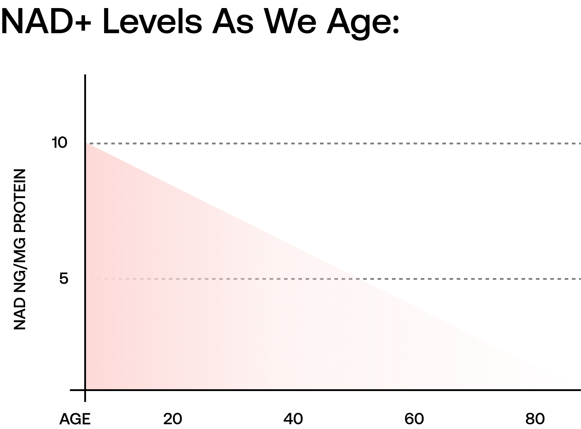 NAD+ Levels Graph