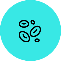 FAQ Image